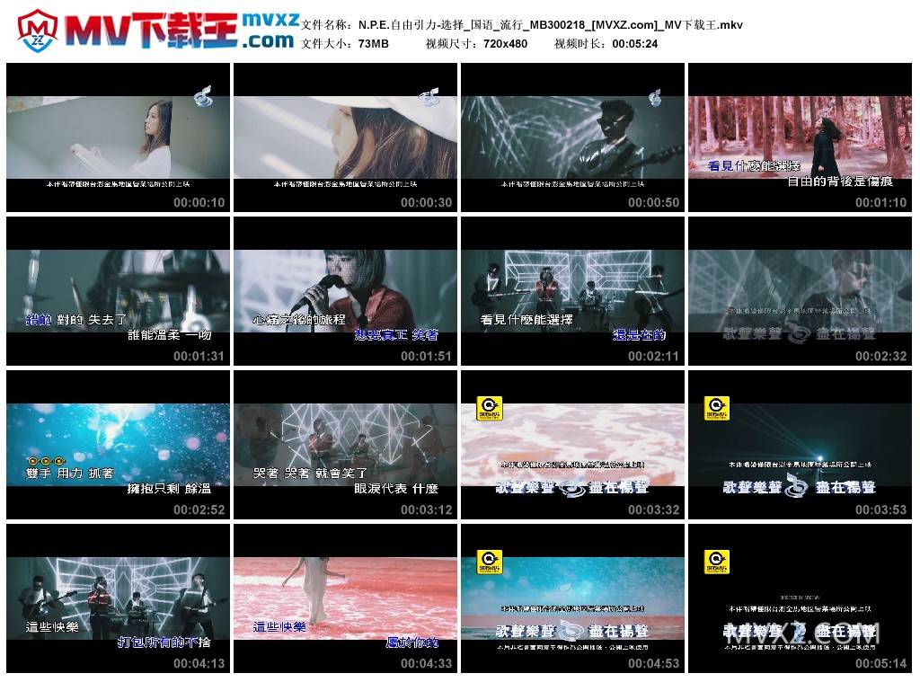 N.P.E.自由引力-选择_国语_流行_MB300218